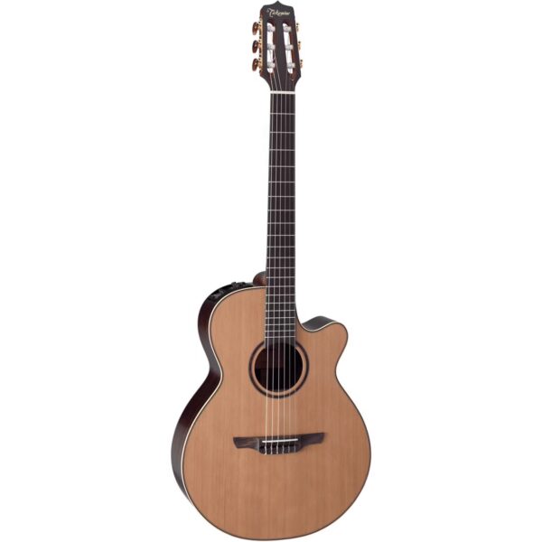 Takamine Natural Series DN65C electro-acoustic classical guitar with case